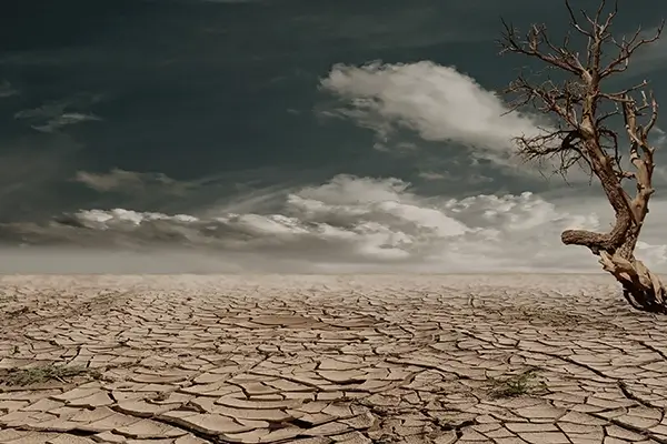 a desert landscape with a dry tree and clouds