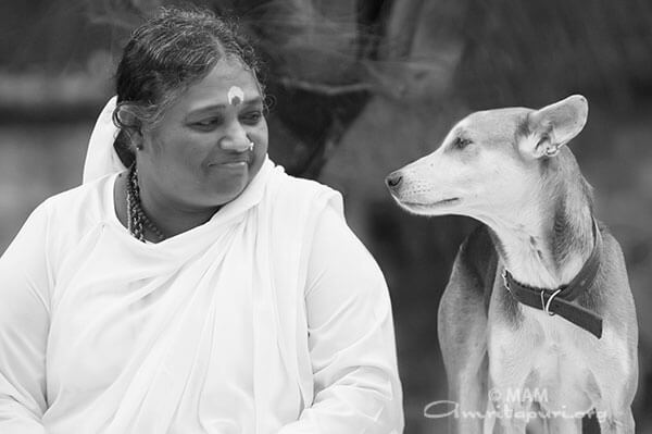 Amma’s Tumban: a touching farewell